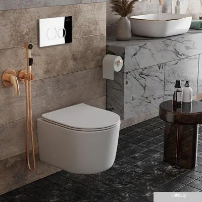 Roxen Simple Compact в комплекте с инсталляцией StounFix Slim 6 в 1 913681 (кнопка: хром глянец)