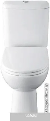 Унитаз Roca Access 34P23900Y