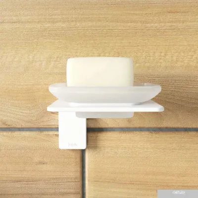 IDDIS Slide SLIWTG0i42