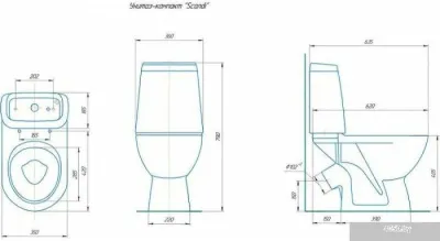 Rosa Сканди Люкс (белый)
