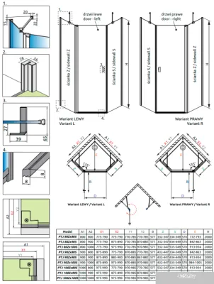 Radaway Nes PTJ Door L
