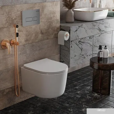 Roxen Simple Compact в комплекте с инсталляцией StounFix Slim 6 в 1 943570 (кнопка: хром матовый)