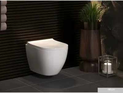 Унитаз Berges Wasserhaus Okus + Toma Slim SO + Novum525 + S3 043267