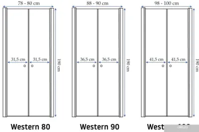 Душевая дверь Rea Western 100