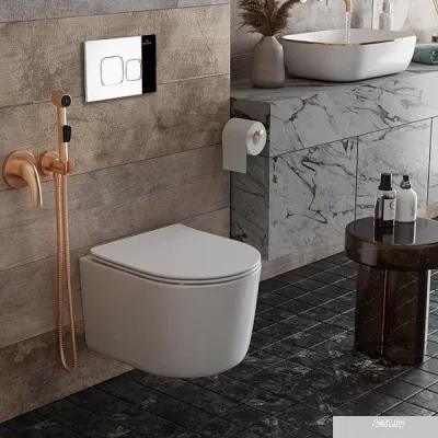 Roxen Simple Compact в комплекте с инсталляцией StounFix Slim 6 в 1 918025 (кнопка: хром глянец)