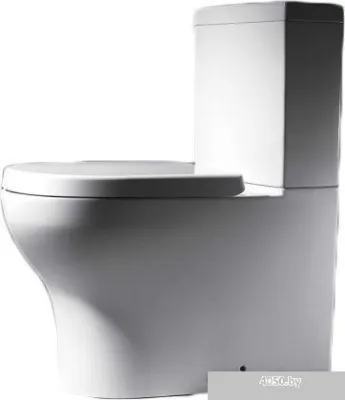 Унитаз Bravat Rael CX01016W-RUS