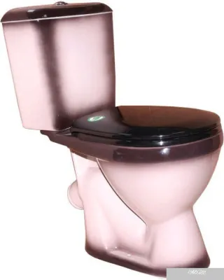 Унитаз Rosa Лира черный