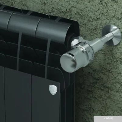 Биметаллический радиатор Royal Thermo BiLiner 500 Noir Sable (10 секций)