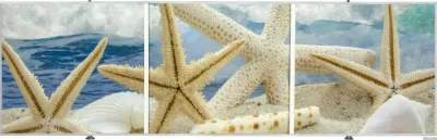 Экран под ванну Comfort Alumin Морская звезда 3D 1.7