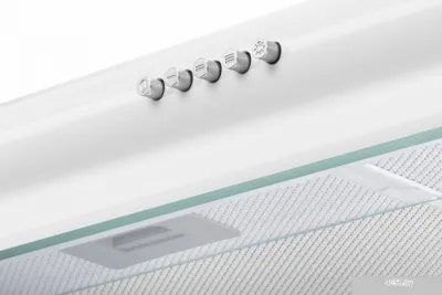 MAUNFELD MP-1 50 (белый)