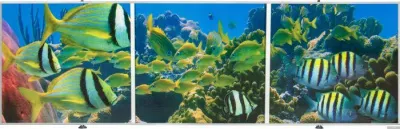 Экран под ванну Comfort Alumin Коралловый риф 3D 1.5