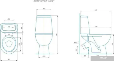 Rosa Сканди (белый)