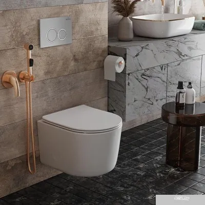 Roxen Simple Compact в комплекте с инсталляцией StounFix Slim 6 в 1 915792 (кнопка: хром матовый)