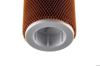 Гейзер Арагон Макс