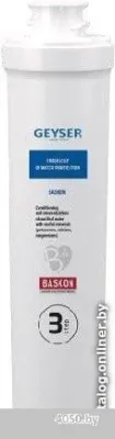 Гейзер Баскон Смарт