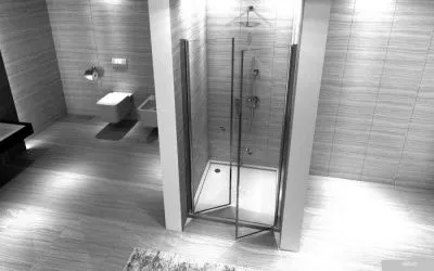 Душевая дверь Rea Western 100