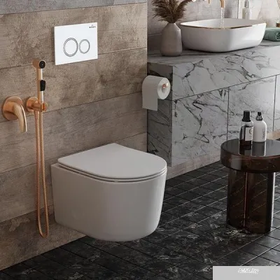 Roxen Simple Compact в комплекте с инсталляцией StounFix Slim 6 в 1 906789 (кнопка: белый глянец)