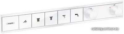 Hansgrohe RainSelect 15384700 (белый)