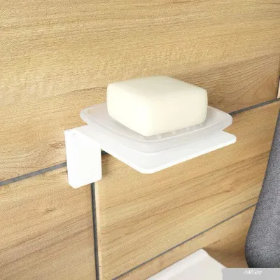 IDDIS Slide SLIWTG0i42