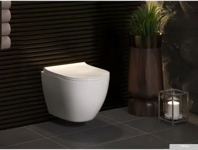 Унитаз Berges Wasserhaus Okus + Toma Slim SO + Novum525 + D7 043262