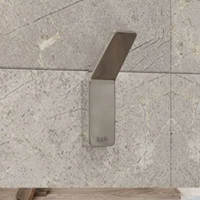 IDDIS Slide SLISC10i41