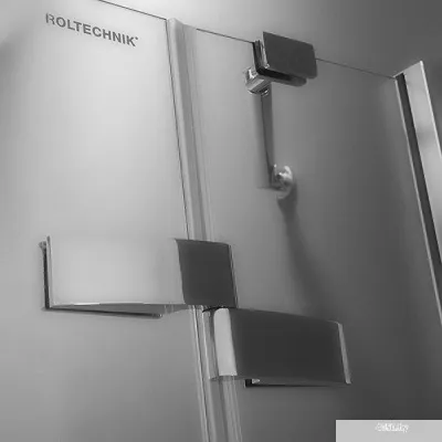 Душевая дверь Roltechnik Elegant Line GDNL1/1200 (левая) [134-120000L-00-02]