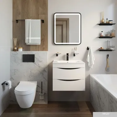 IDDIS Slide SLIBS20i41