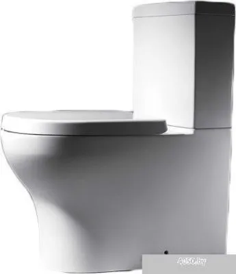 Унитаз Bravat Rael CX01016W-RUS