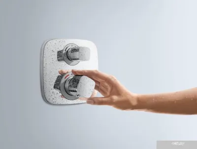 Смеситель Hansgrohe Ecostat E [15708000]