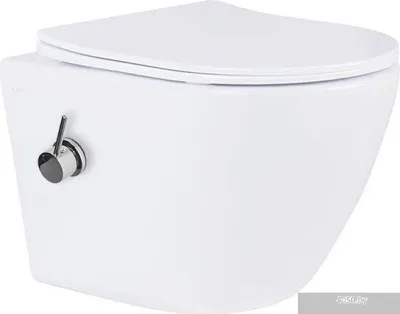 Roxen Antares Bidet в комплекте с инсталляцией StounFix Slim 6 в 1 958812 (кнопка: хром глянец)