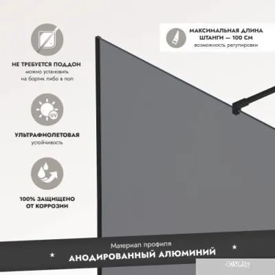 Benetto BEN-602_BL_T 1000х2000 (черный, тонированное стекло)