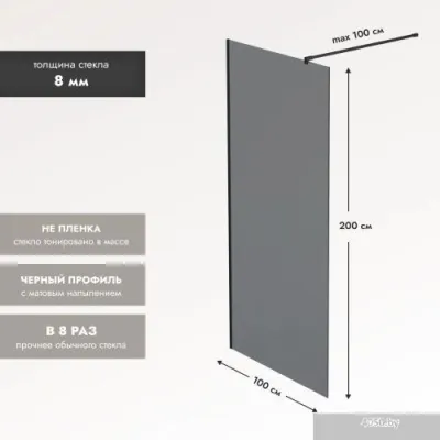 Benetto BEN-602_BL_T 1000х2000 (черный, тонированное стекло)