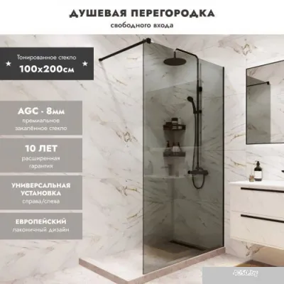 Benetto BEN-602_BL_T 1000х2000 (черный, тонированное стекло)