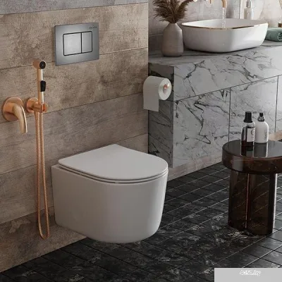 Roxen Simple Compact в комплекте с инсталляцией StounFix Slim 6 в 1 954681 (кнопка: оружейная сталь)