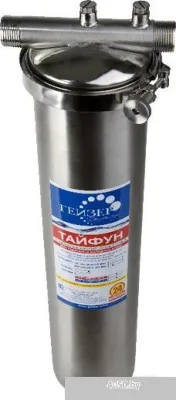 Проточный фильтр Гейзер Тайфун 20BB (с картриджем)
