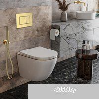 Roxen Antares Gold в комплекте с инсталляцией StounFix Dual Fresh 6 в 1 968460 (кнопка: брашированно