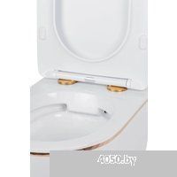 Roxen Antares Gold в комплекте с инсталляцией StounFix Dual Fresh 6 в 1 968460 (кнопка: брашированно