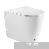 Roxen Vario 620260-01 с импульсным смывом