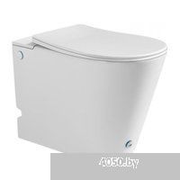 Roxen Turbo 620250-01 с импульсным смывом