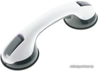 Рыжий кот TI-01 002710