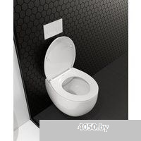 Roxen Egg в комплекте с инсталляцией StounFix Dual Fresh 6 в 1 964123 (кнопка: хром матовый)