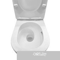 Roxen Vortex Tornado в комплекте с инсталляцией StounFix Dual Fresh 6 в 1 868502 (кнопка: черный мат