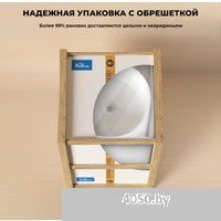 Wellsee Chalice Perfection 230616000 (отдельностоящий, с отверстием под смеситель, матовый черный/гл