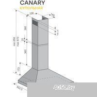 Konigin Canary Ivory 50