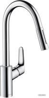 Смеситель Hansgrohe Focus 31815000