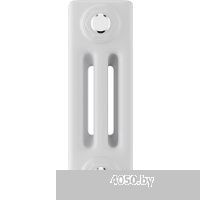 Royal Thermo Insignia C3030 - 42 секций RAL9016