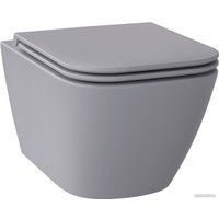 Wellsee Pure BY Wellsee RimFree 182605001 (чаша, пневмокрышка, матовый серый)