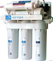 Гейзер Аллегро ПМ