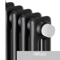 Royal Thermo Insignia VC2180 - 10 секций RAL9005m