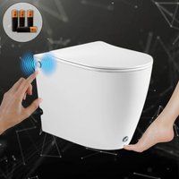 Roxen Vario 620260-01 с импульсным смывом